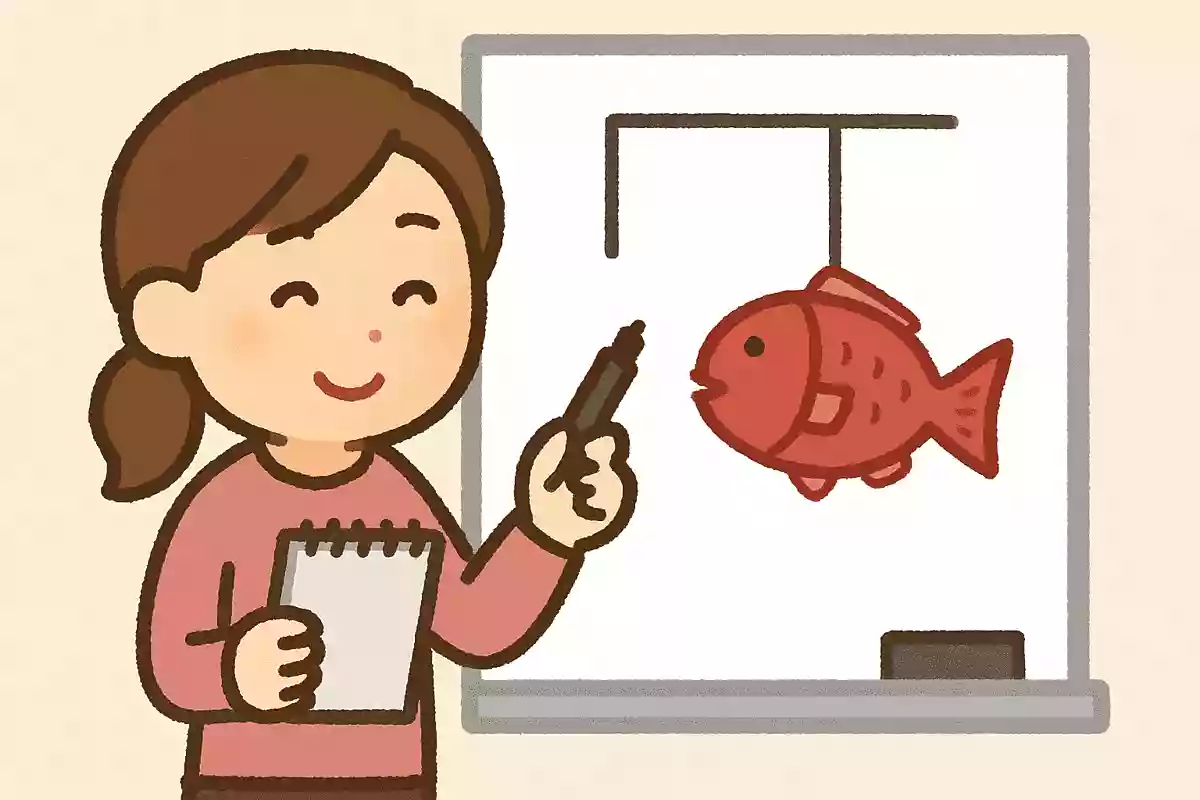 〇〇で鯛を釣る