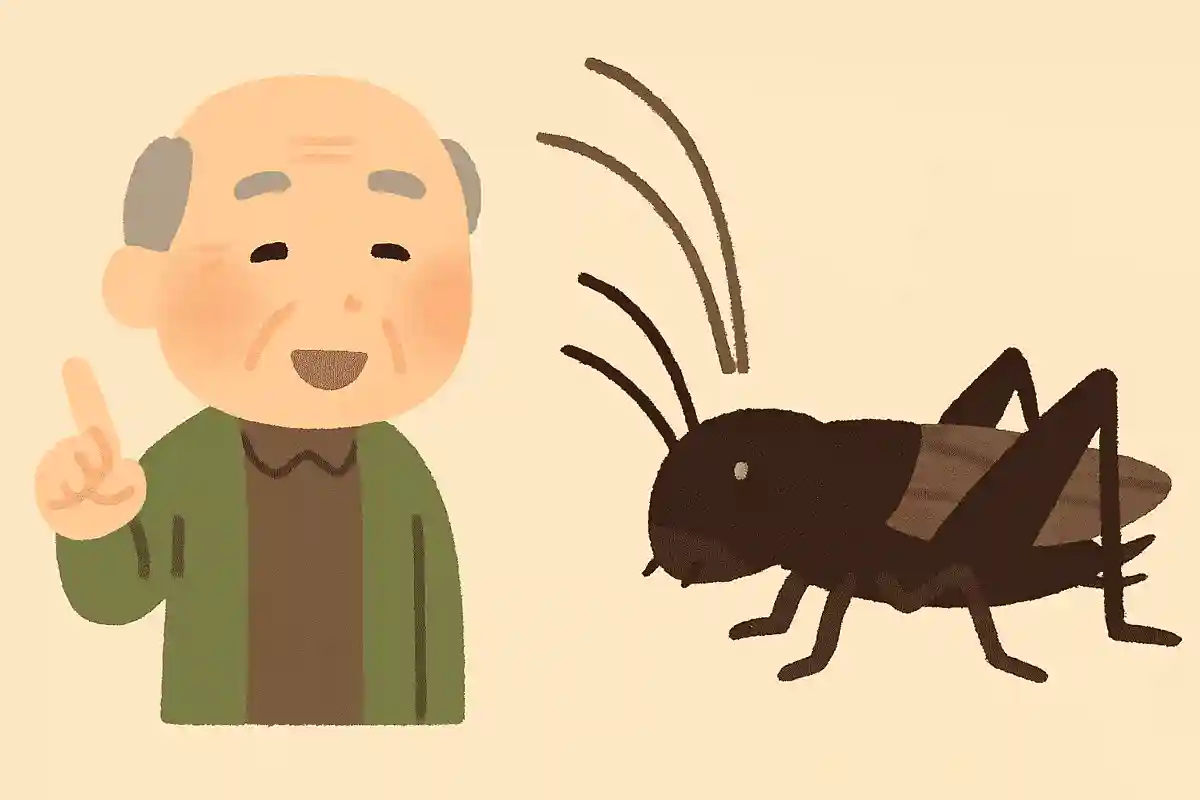 コオロギが鳴く理由は何でしょうか