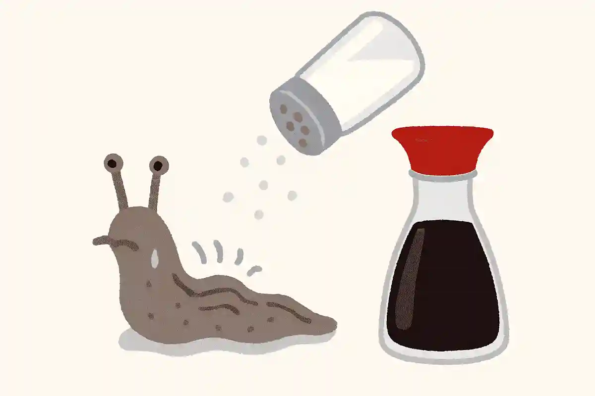 塩以外にナメクジがかけられると、縮んでしまう調味料はなんでしょうか？