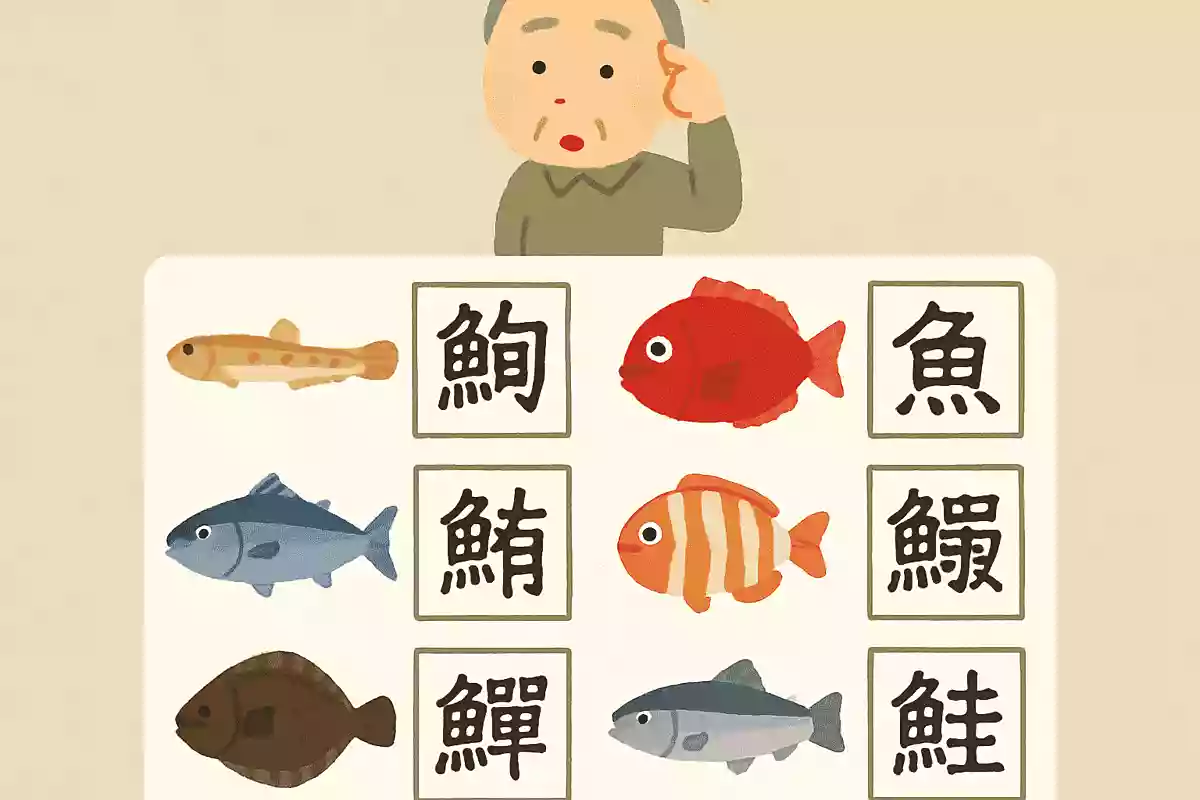 鰌