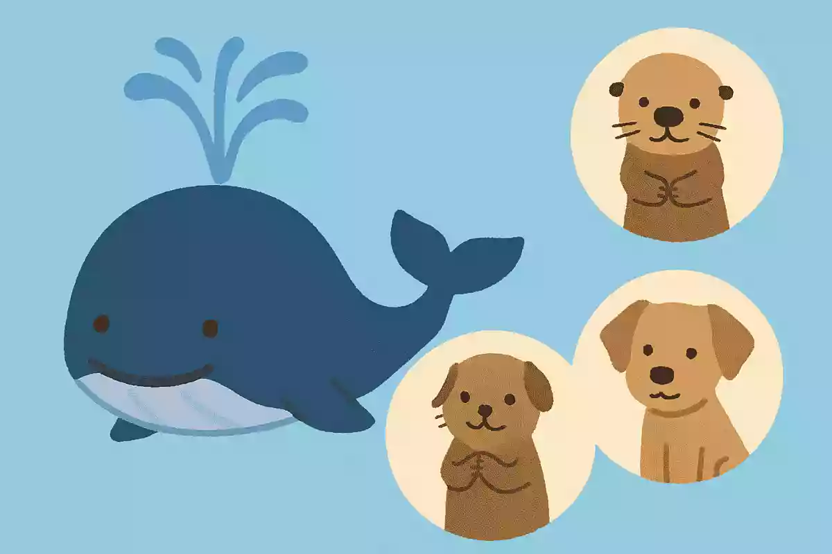 海に住んでいて潮をふく動物は何でしょうか?