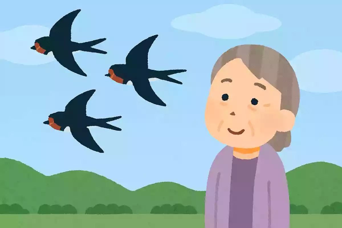 【高齢者向け】天気のことわざクイズ