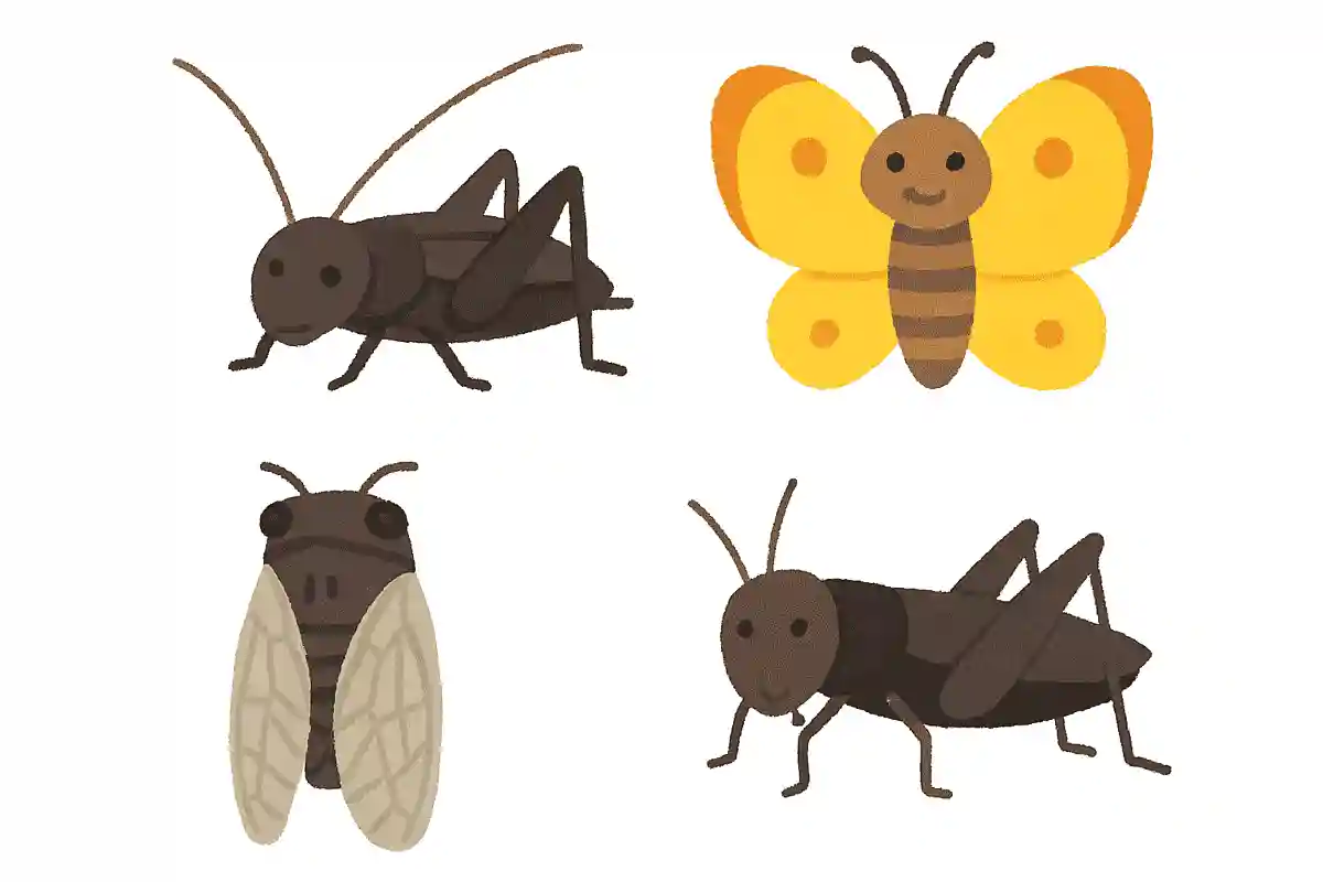 鈴虫、ちょうちょ、セミ、コオロギの中で仲間はずれはどれ?