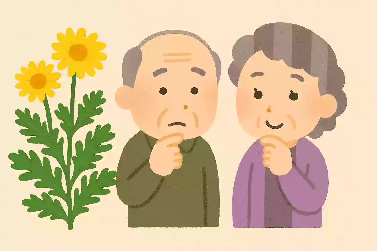 11が旬の「春菊」ですが、なぜ名前に「春」が入っているのでしょうか？