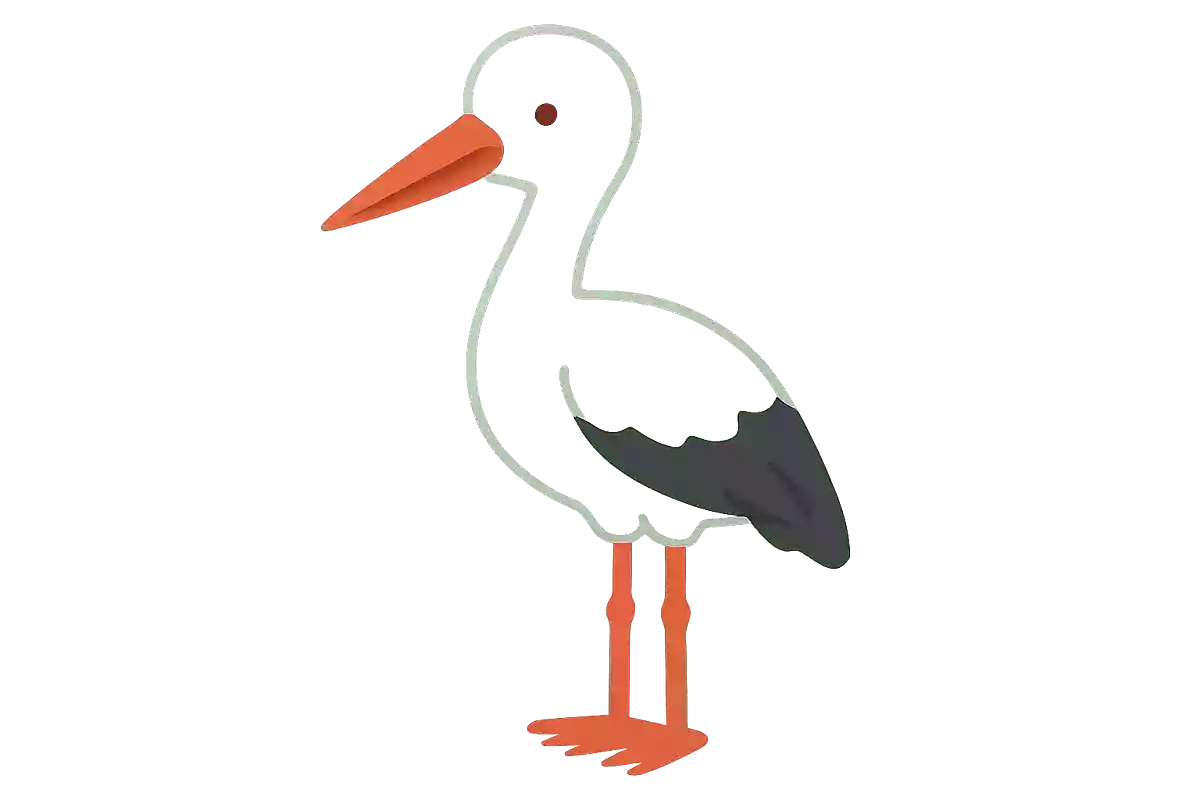 コウノトリ