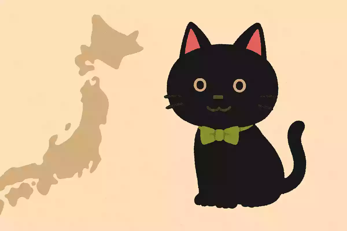 【知ってるようで知らない？】猫にまつわる雑学クイズ