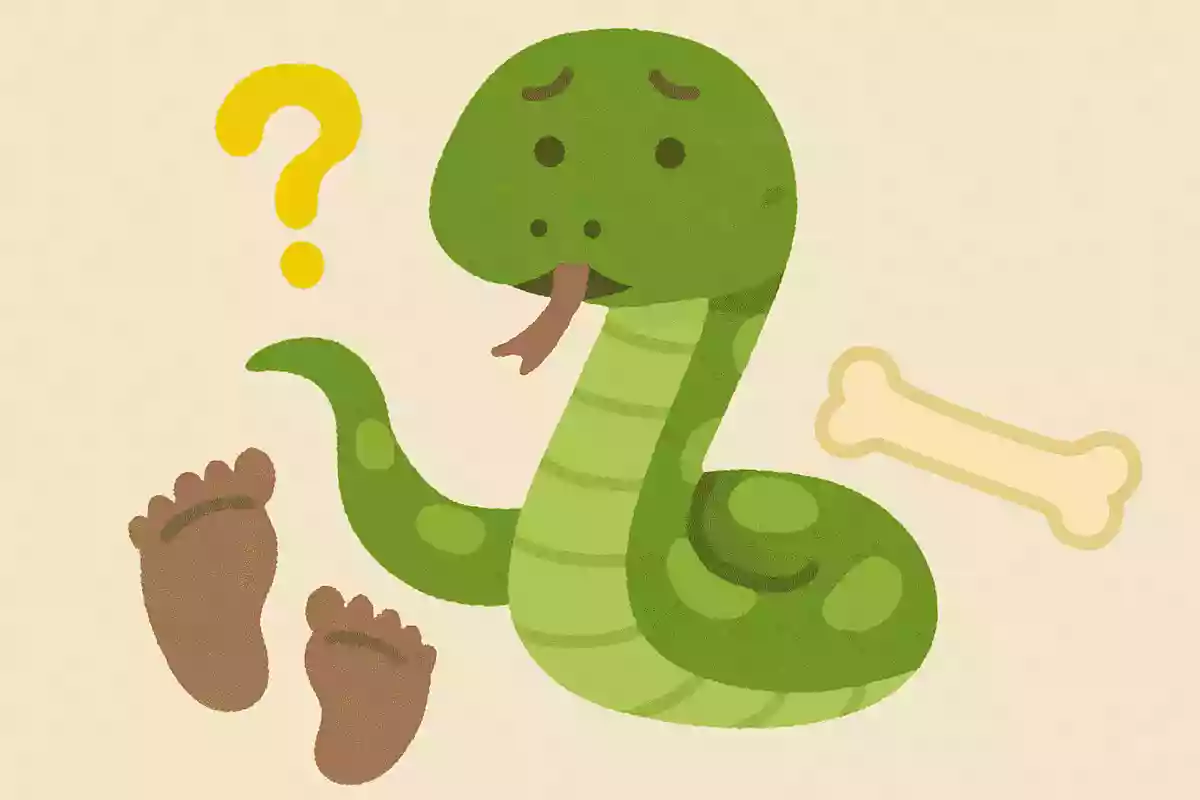 ヘビに手足がないのはどうして?