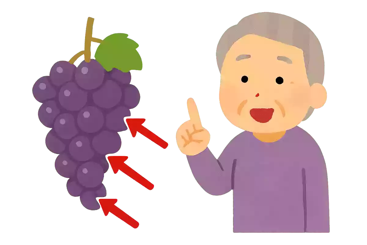 ぶどう一房の、枝から順に「上」「中心」「下」最も甘い部分はどこになるでしょうか？