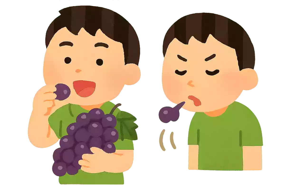 吃葡萄不吐葡萄皮。不吃葡萄到吐葡萄皮。