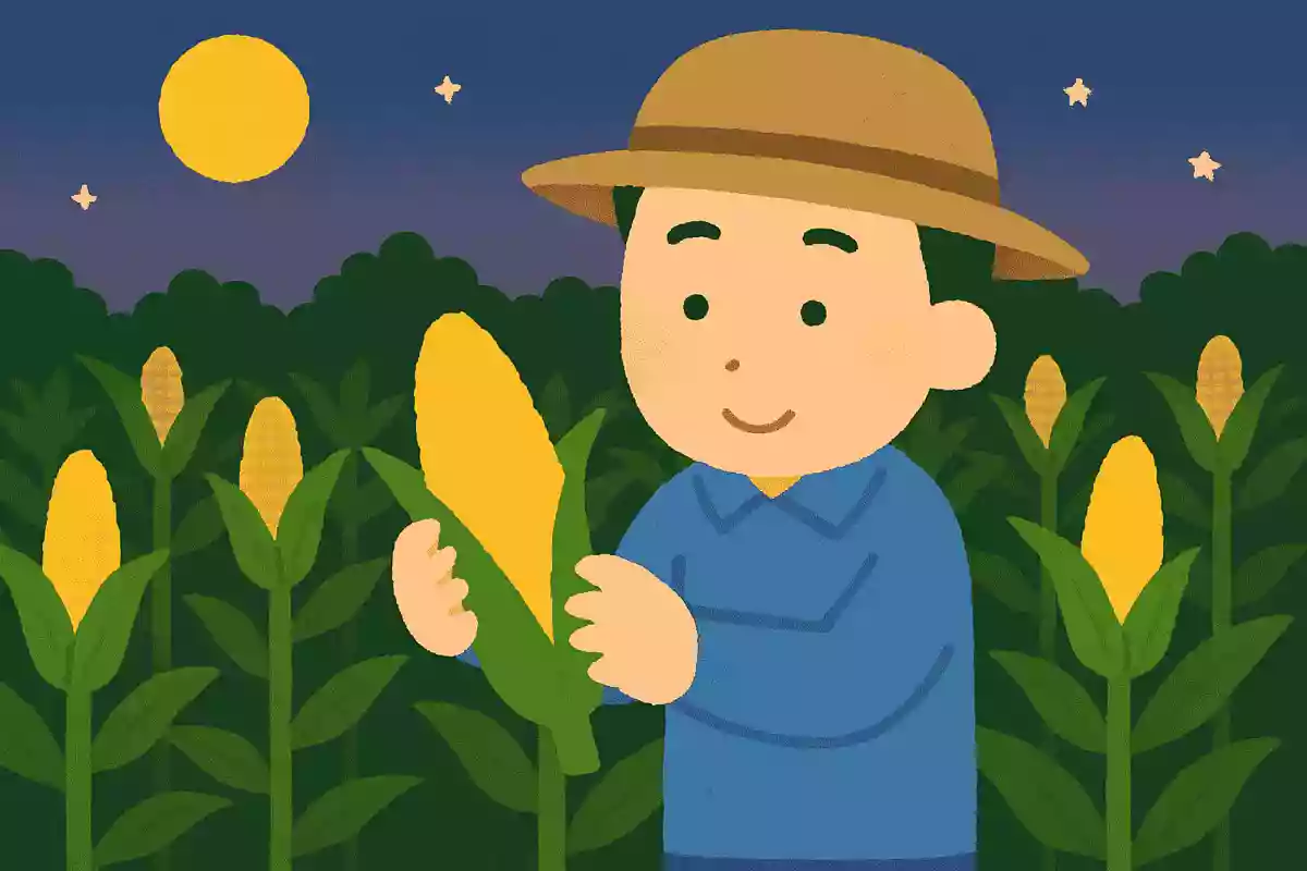 【雑学】とうもろこしの豆知識が深まるクイズ