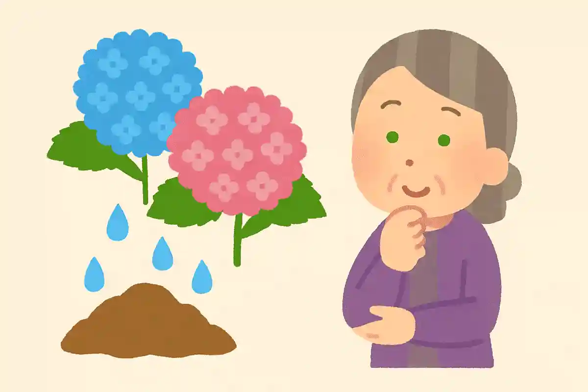 紫陽花の色は何によって左右されるでしょうか。