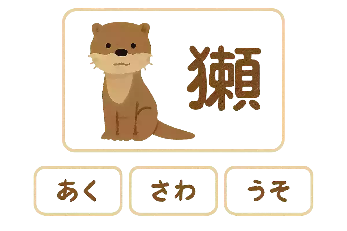 獺