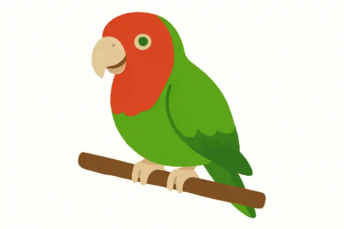 「鸚鵡」はなんの動物でしょう?