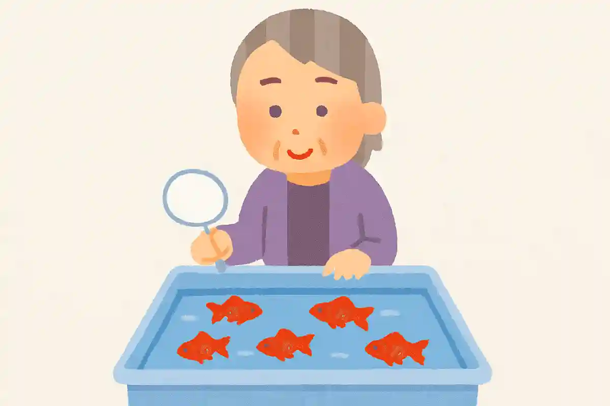 金魚がすくいやすい服の色はどれでしょうか？