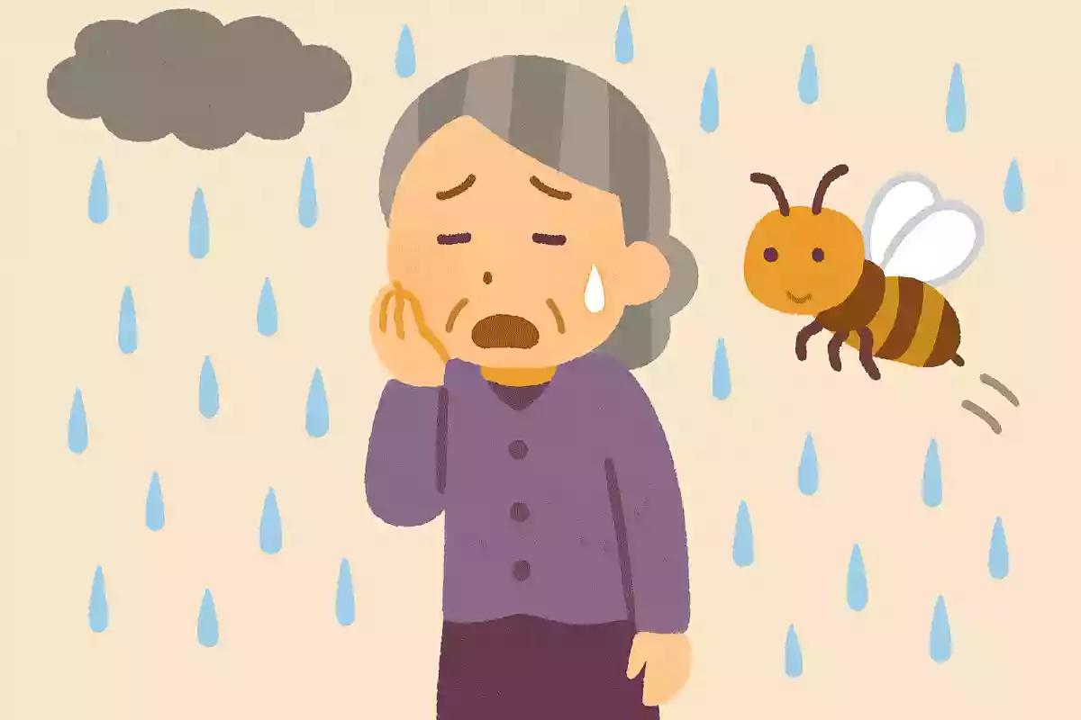 泣きっ面に〇〇