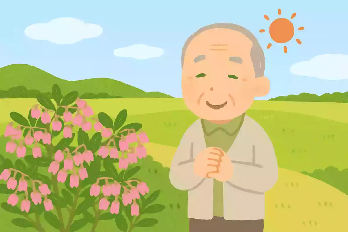 来しかたや 馬酔木咲く野の 日のひかり