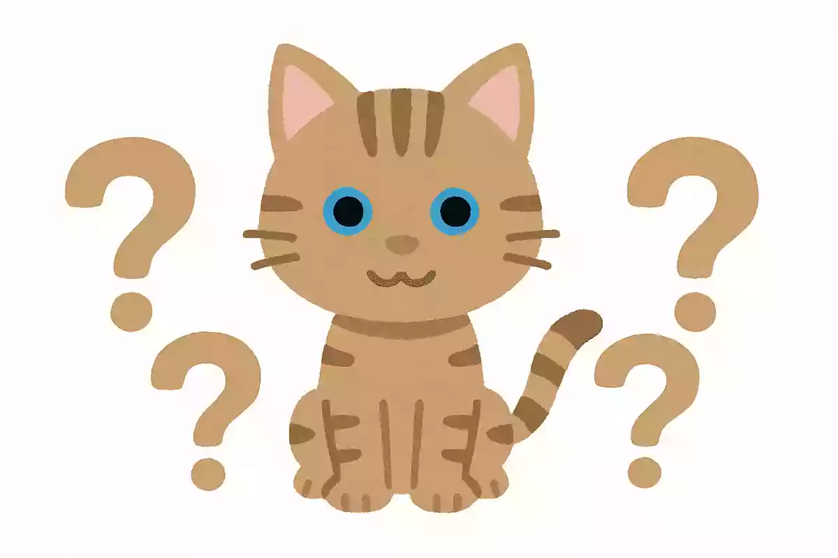 子猫の目の色は何色？