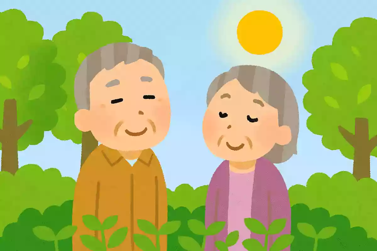 【高齢者向け】6月の俳句紹介。夏を感じるアイディア
