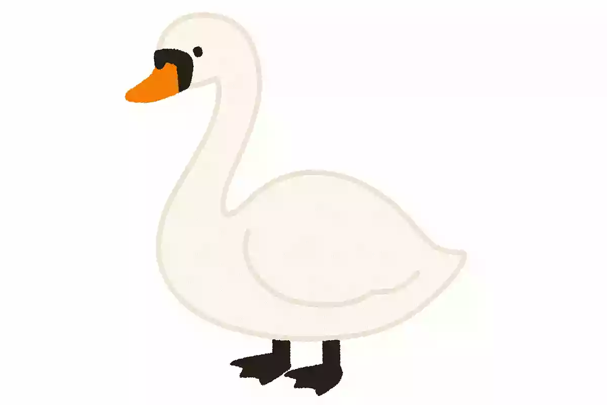 コク(鵠)