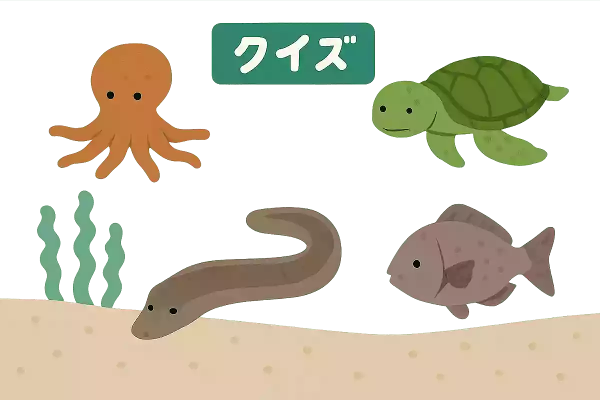 海底に体を沿わせて移動する生き物は次のうちどれ？