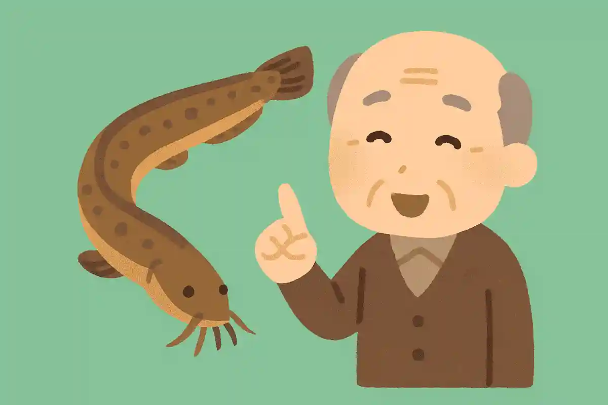 ドジョウにあるひげは何のためでしょうか?