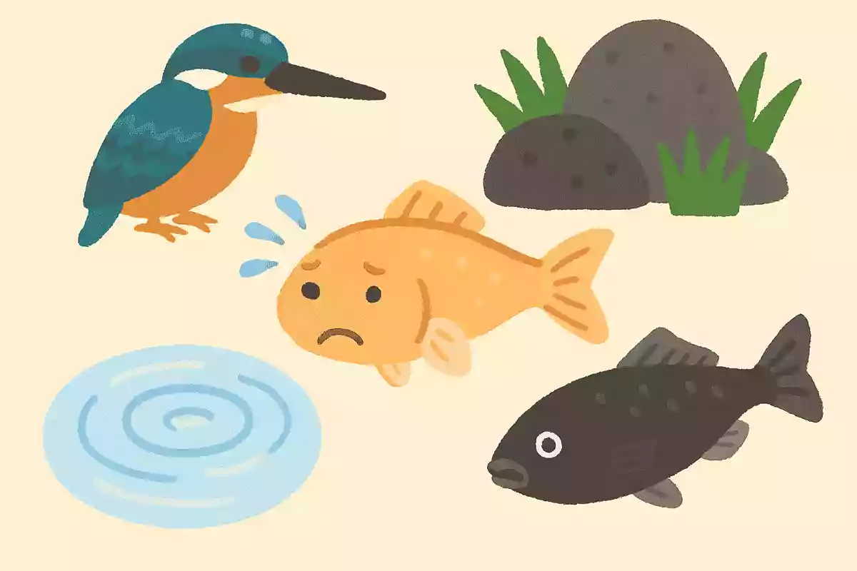 メダカが苦手なことは？