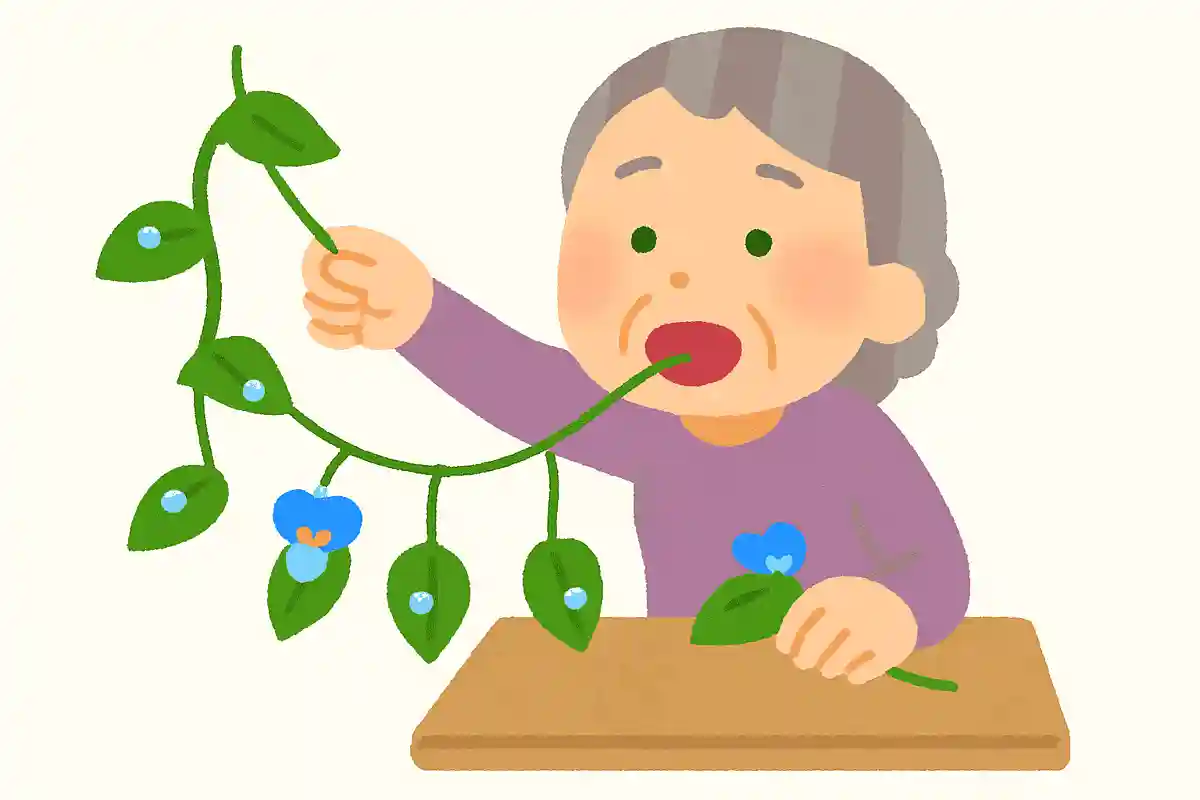 作るつる草吊るすつゆ草