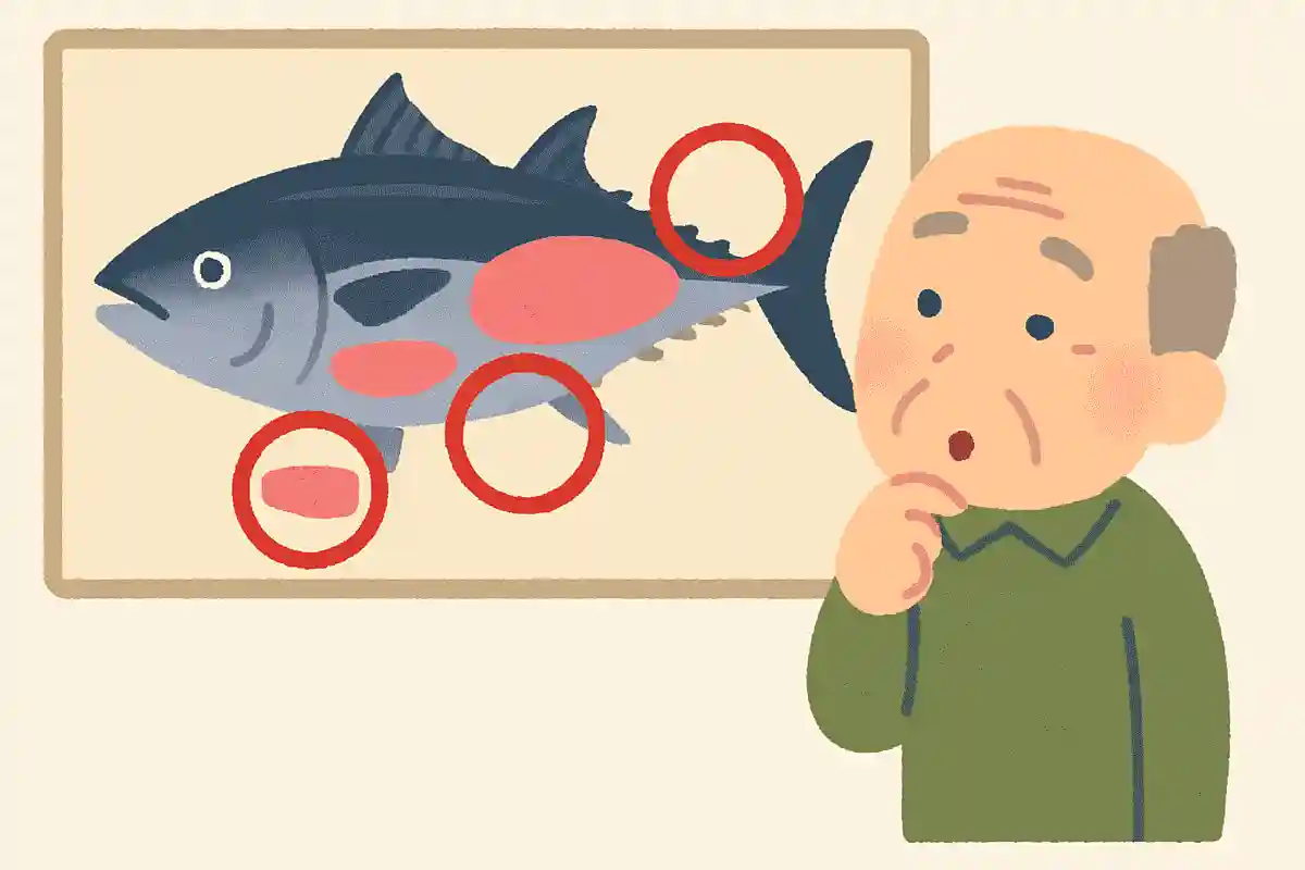 DHAが最も多く含まれている、マグロの部位はどこでしょうか?