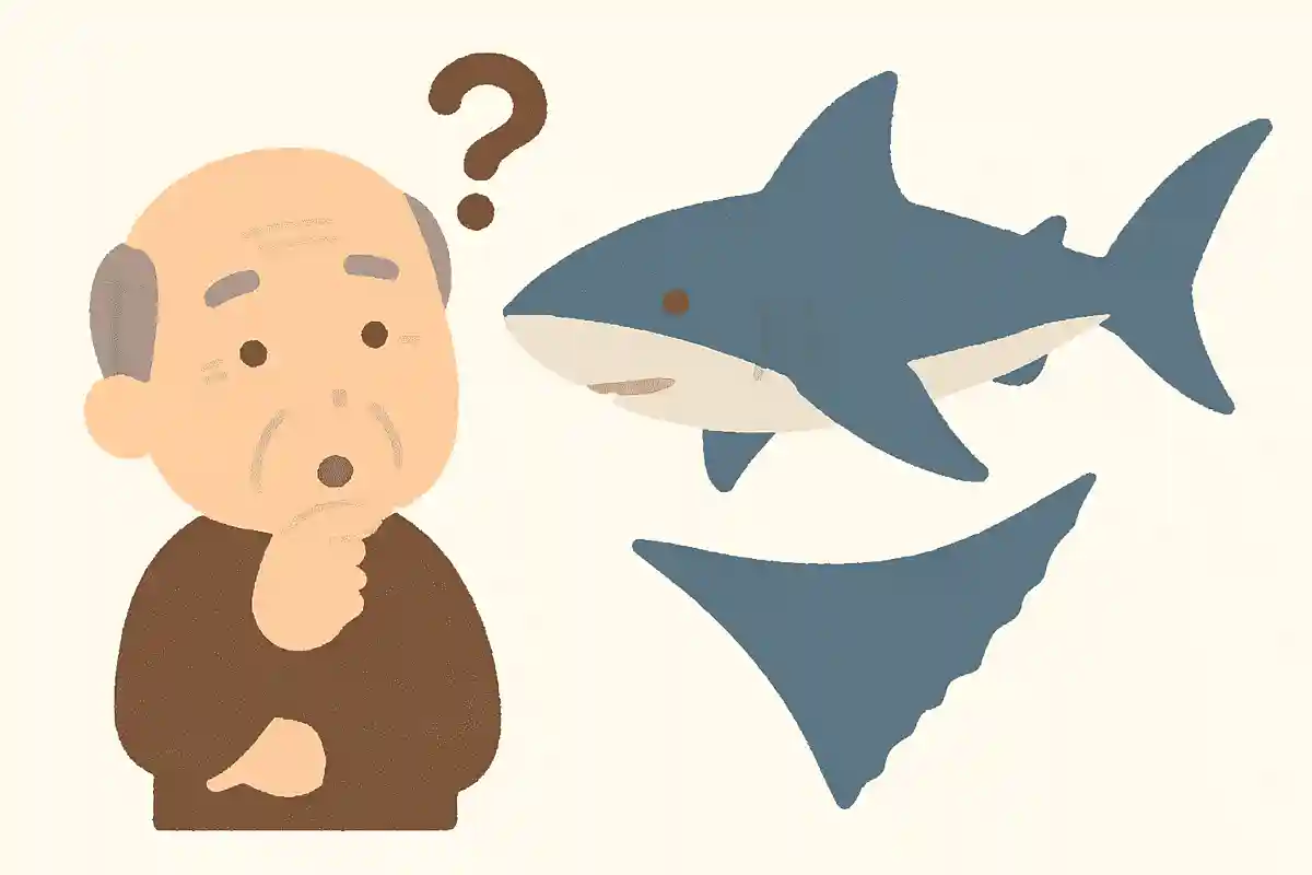 高級食材で知られている、フカヒレは何の魚のひれでしょうか?