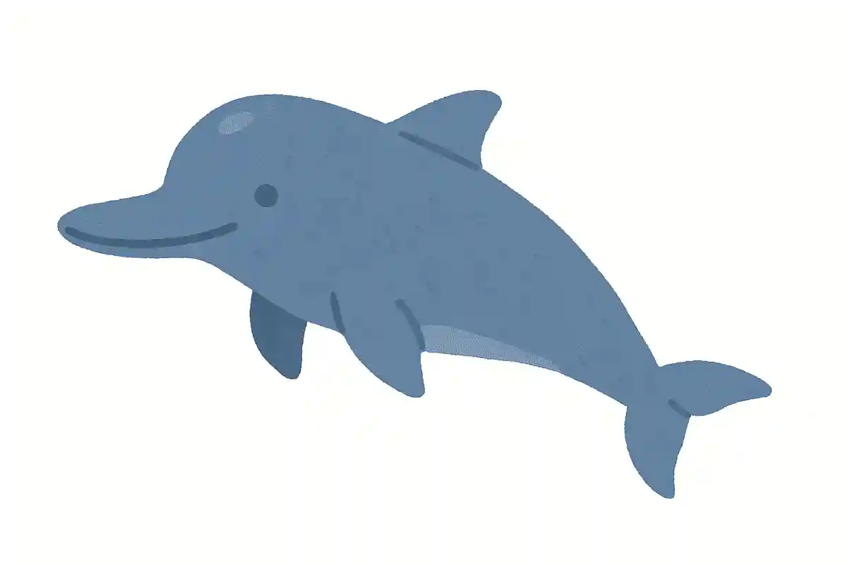 ヨウスコウカワイルカ(揚子江河鯆)