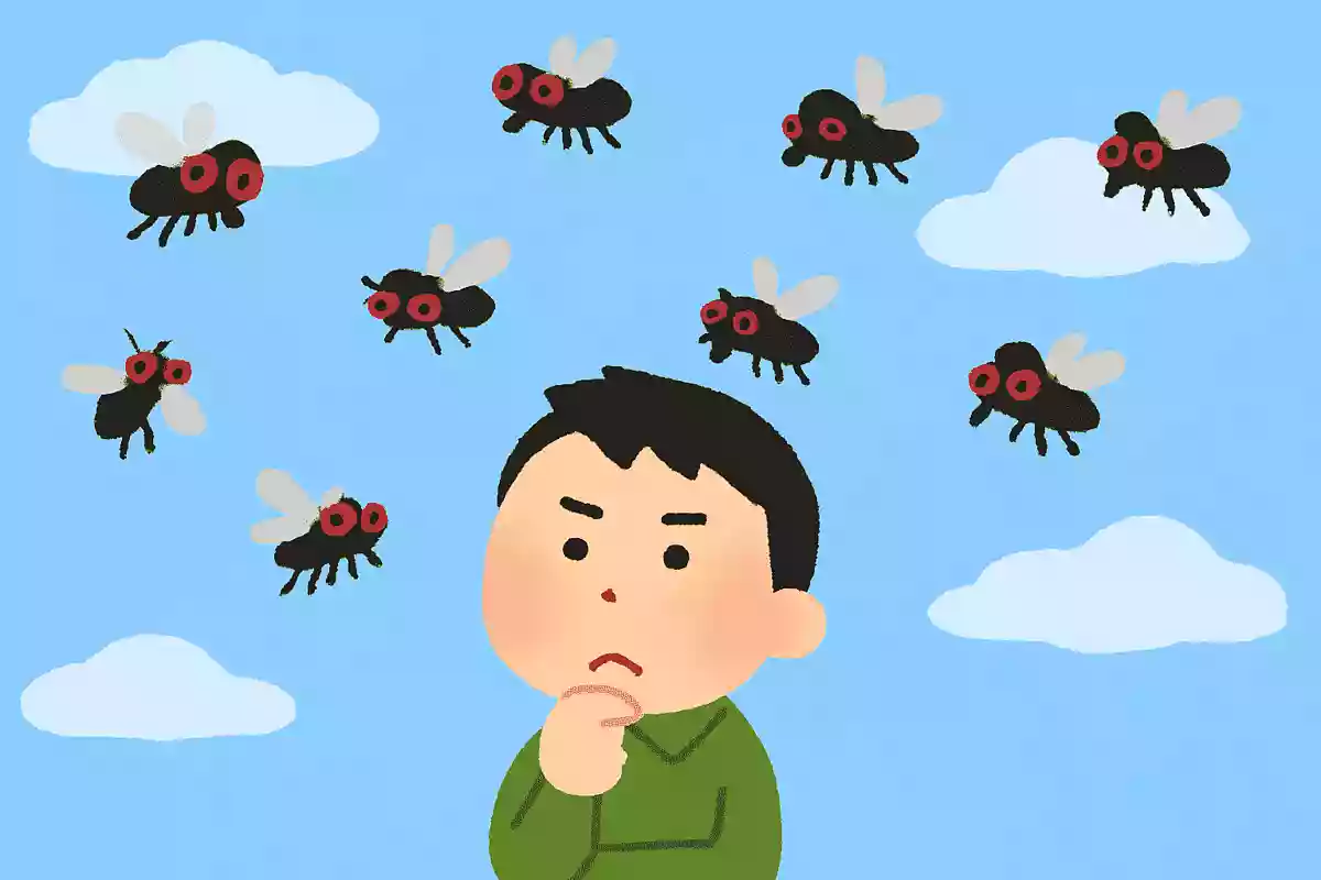 空にハエは何匹いるでしょう?