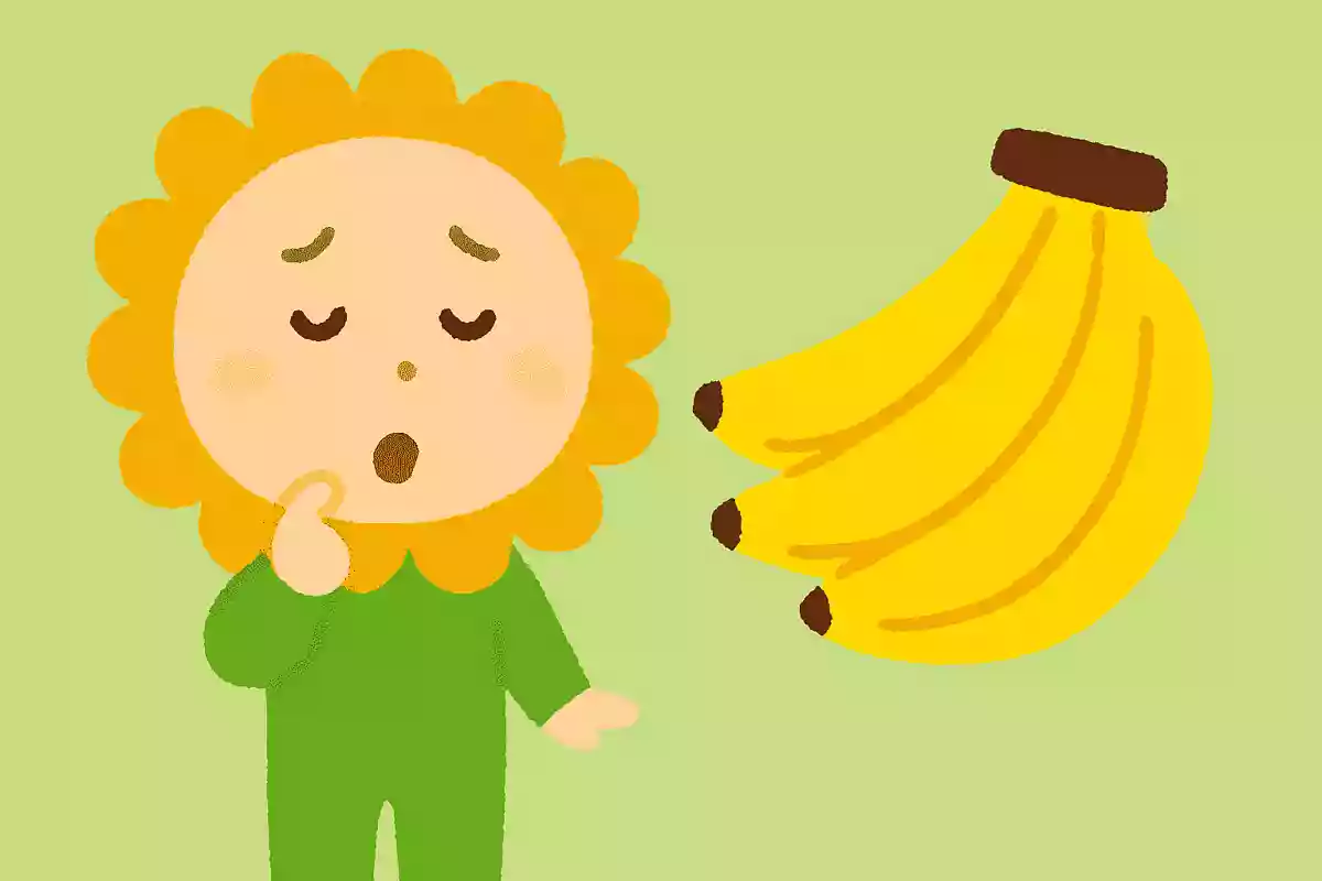 あるのに、ないといわれる果物は何でしょう?