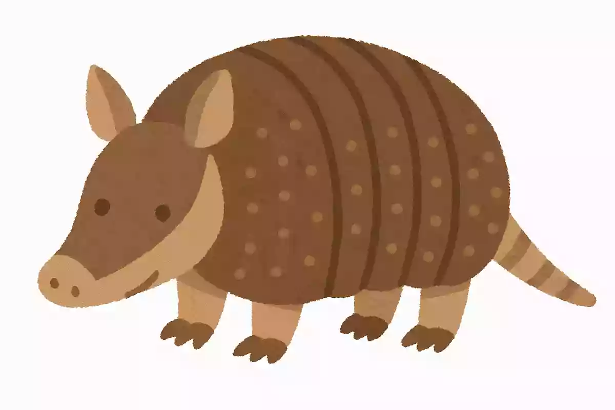 ロクタイアルマジロ(六帯犰狳)