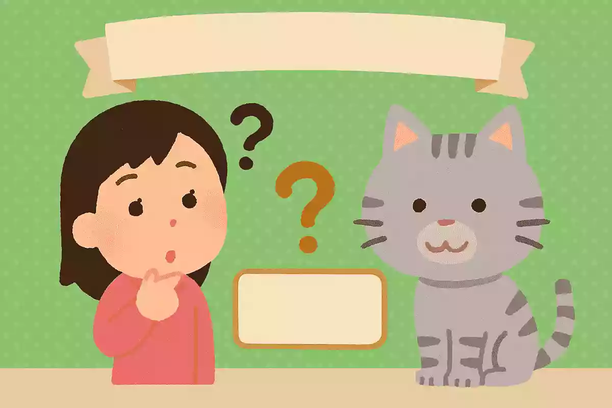 猫の知能は人間で何歳くらい?