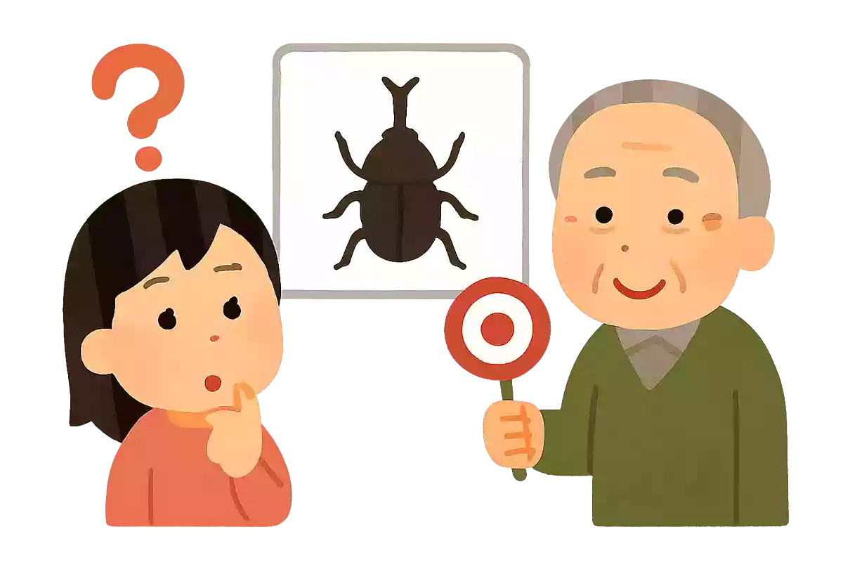 〇〇の甲より年の功