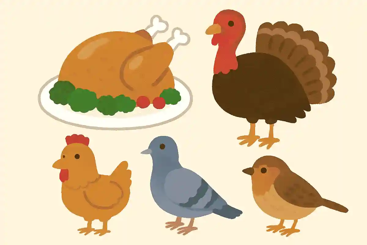 クリスマスに食べられる「ターキー」とは何の鳥でしょうか?