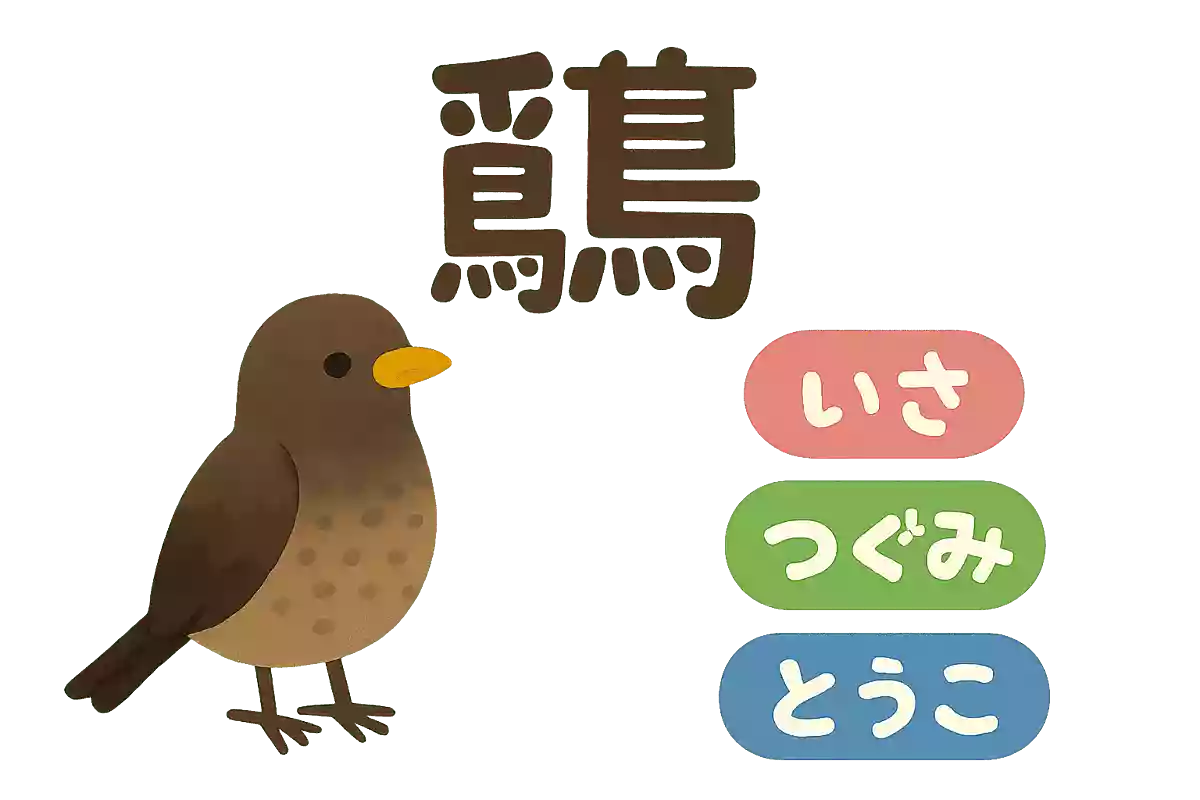 鶫