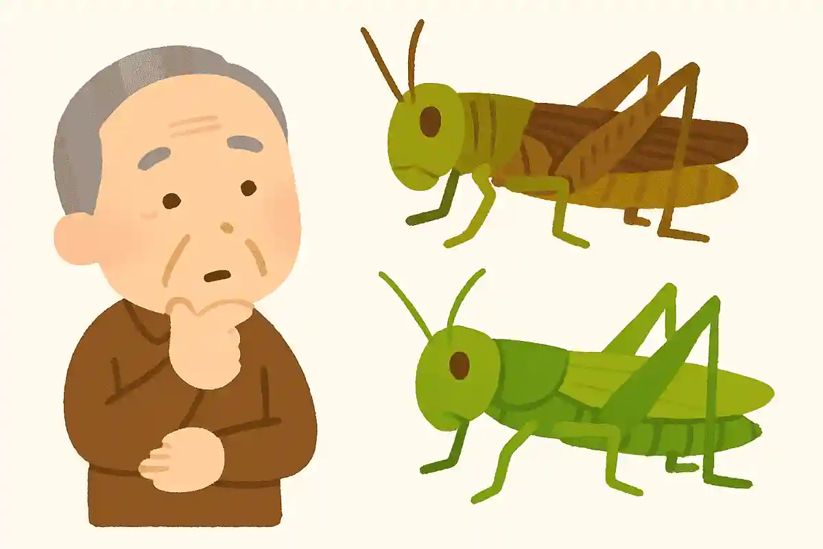 イナゴとバッタの違いは何でしょうか