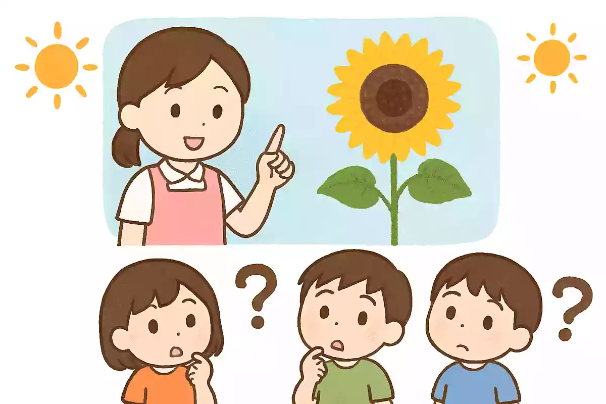 夏に咲く黄色い花は次のうちどれでしょうか