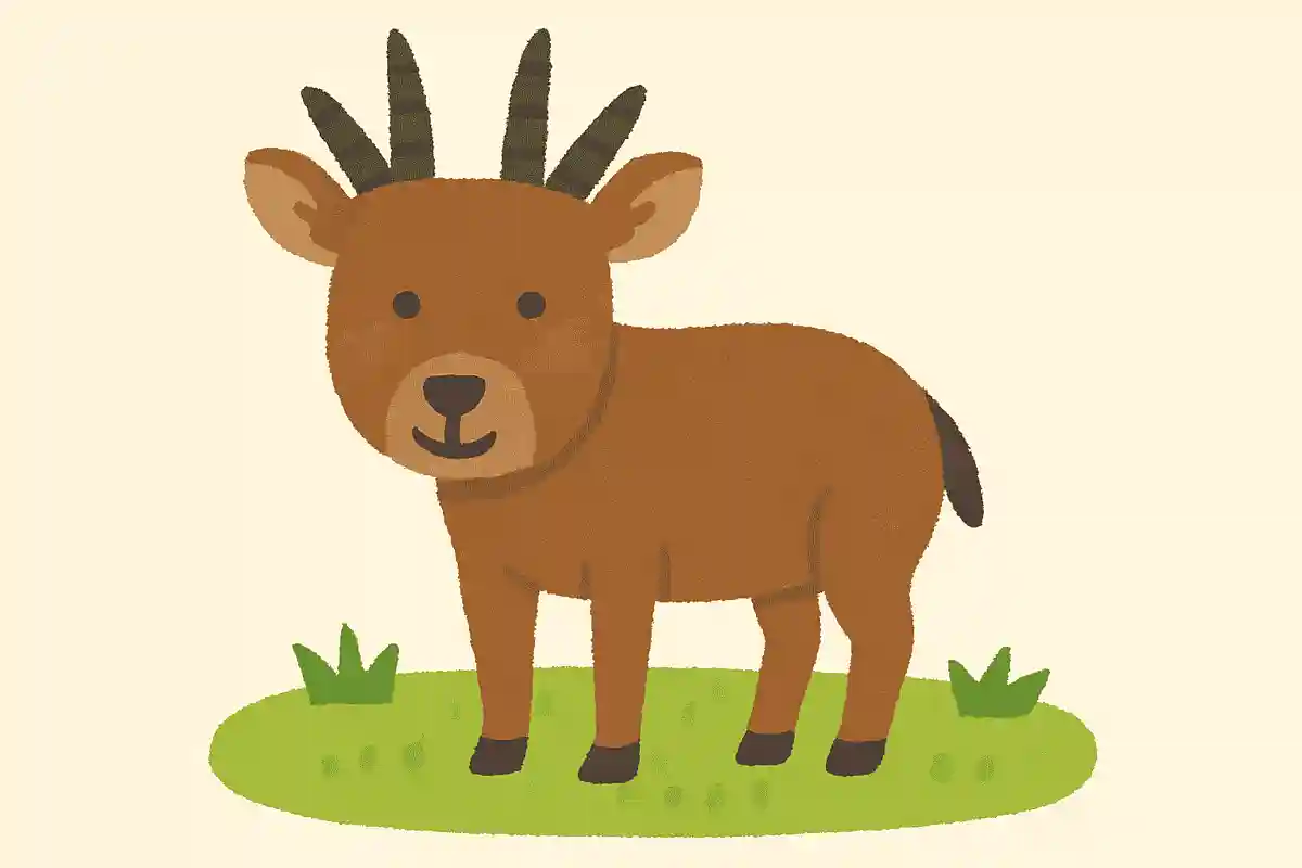 ヨツヅノレイヨウ(四角羚羊)