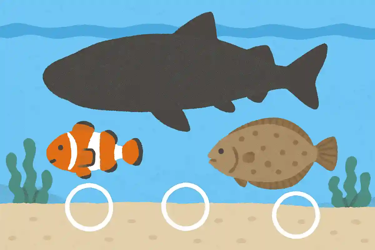 400年から500年生きる魚はどれでしょうか?