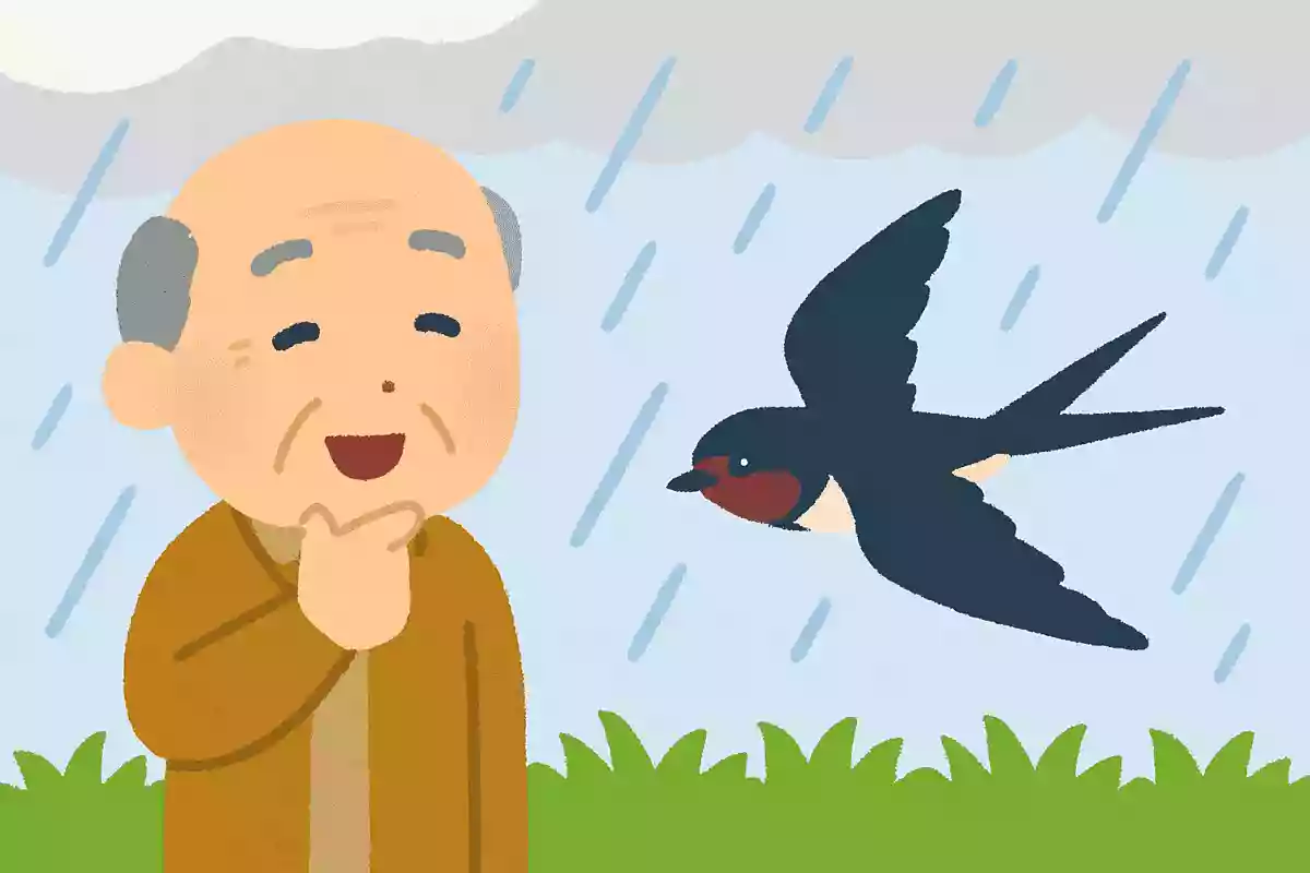 【高齢者向け】動物と自然をテーマにした盛り上がるクイズ集
