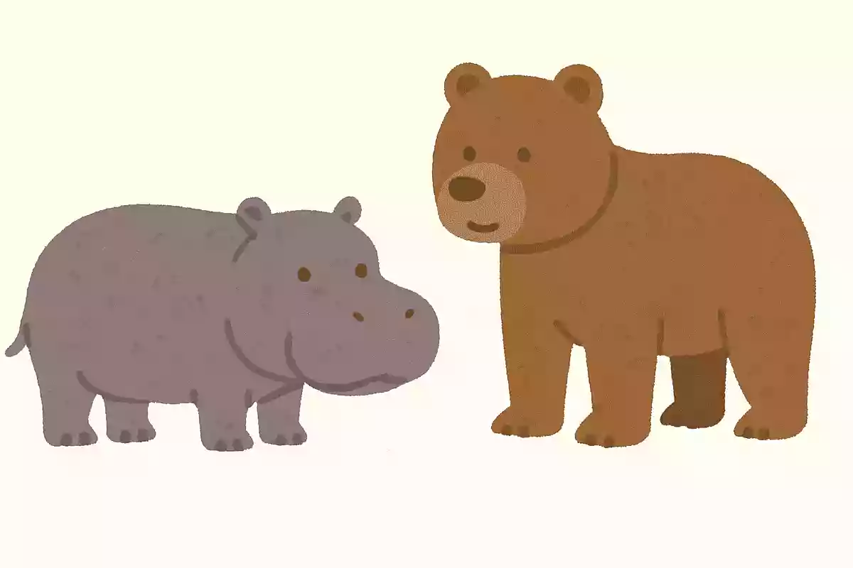 カバとクマはどちらが大きい？