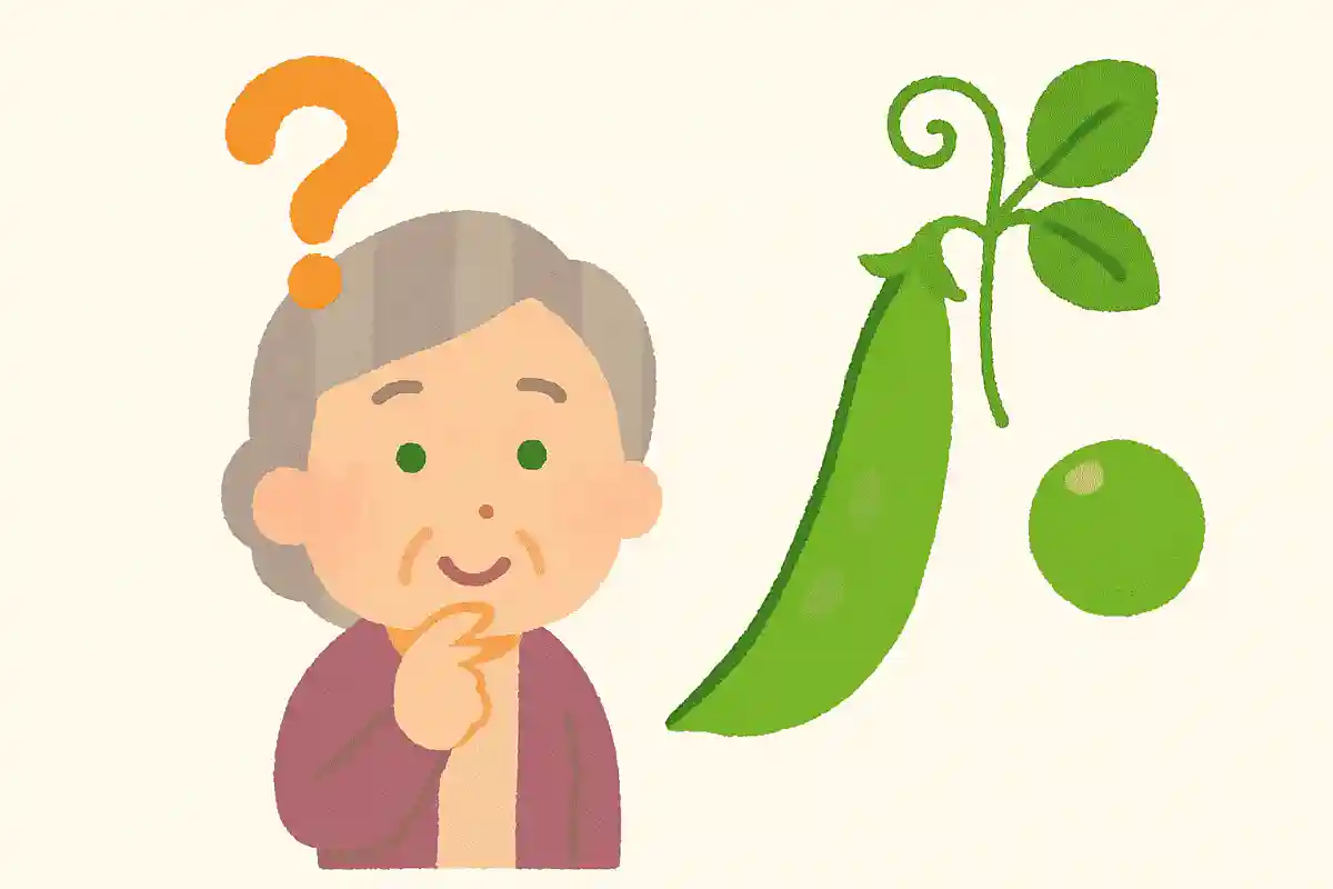 さやえんどうは5月が旬ですが、中の豆は成長すると何になるでしょうか?