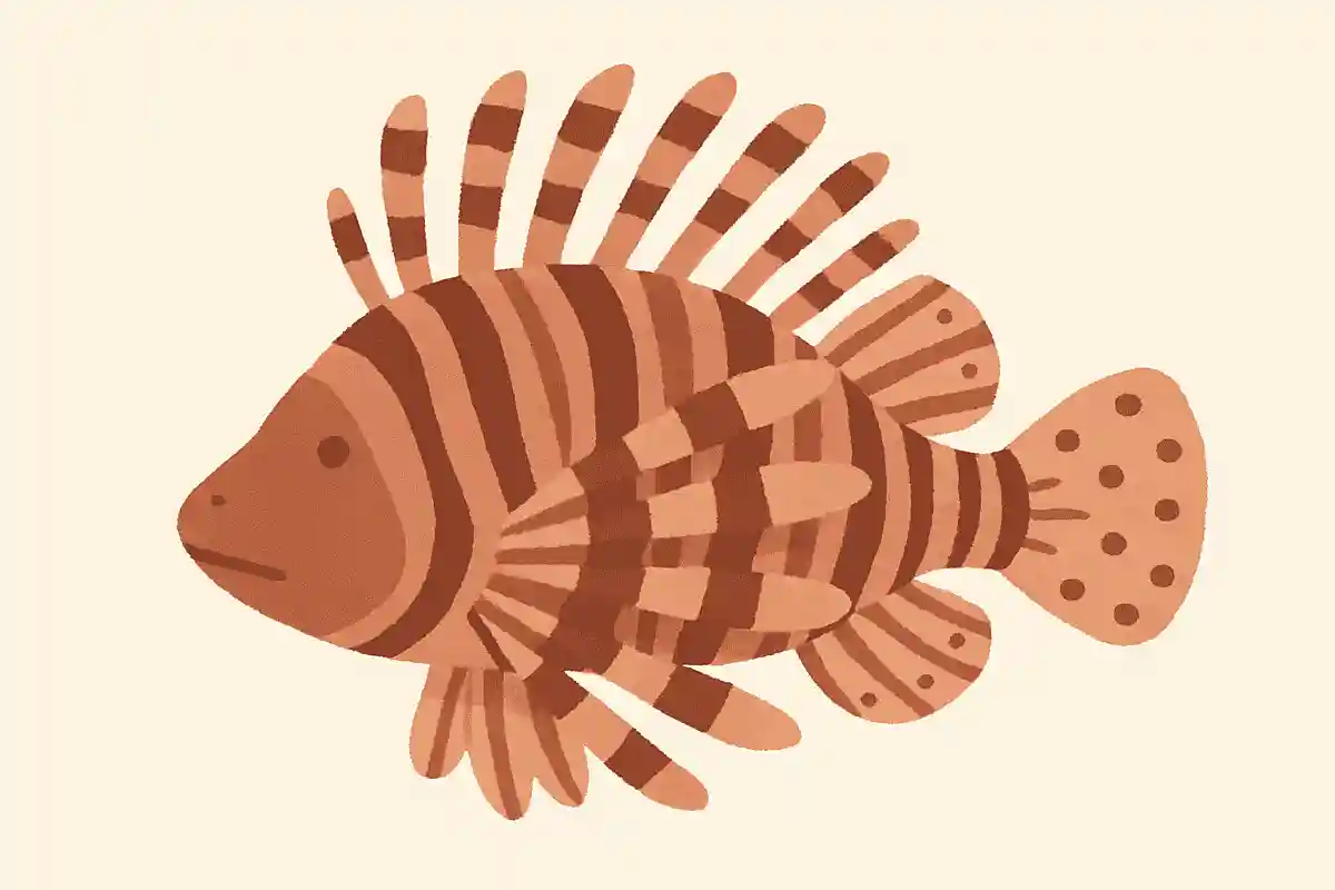 ミノカサゴ（蓑笠子）