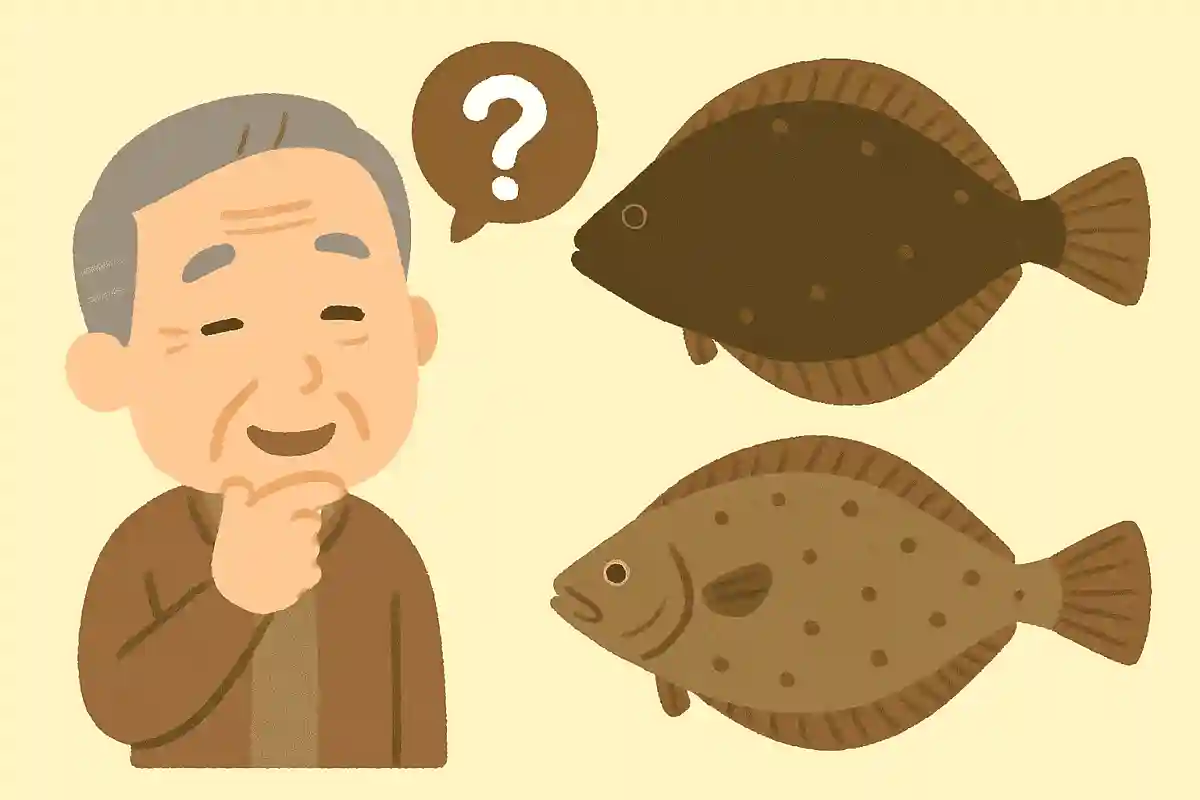 ヒラメとカレイの見分け方は?