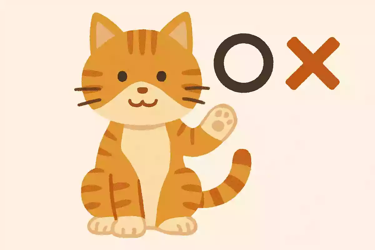 猫に利き手はある ◯か✗か