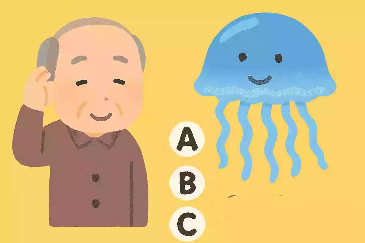 クラゲは何%が水分でしょうか？