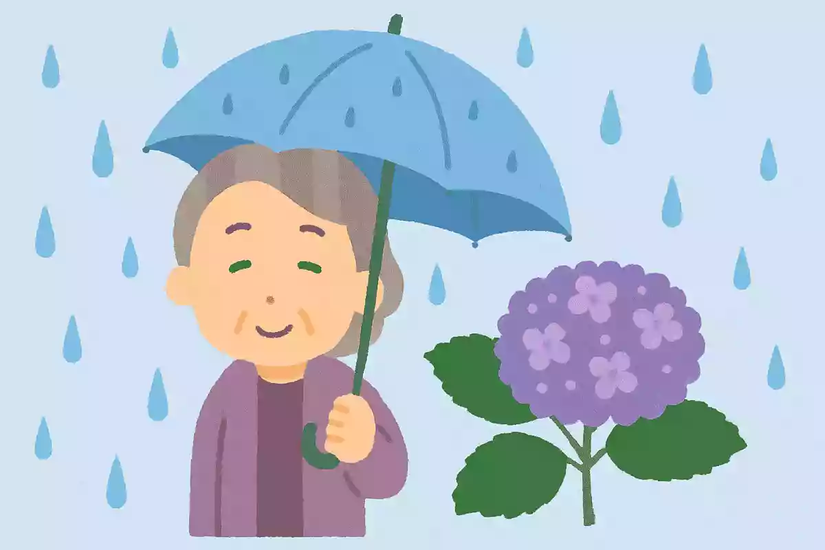 梅雨の時期に開花する紫陽花の原産国はどこでしょうか。