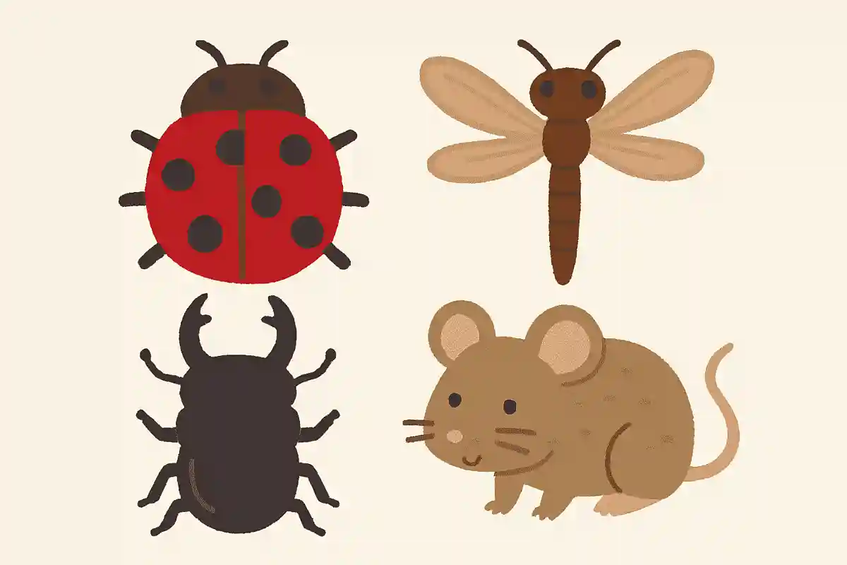 この中で昆虫ではないものはどれでしょうか？